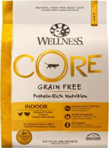 Wellness CORE Grain-Free Dry Cat Food