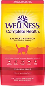 Wellness Complete Health Balanced Nutrition Dry Cat Food