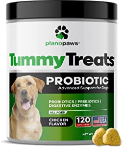 Plano Paws Probiotic Tummy Treats for Dogs