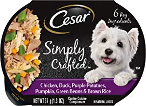 Cesar Simply Crafted Adult Soft Wet Dog Food