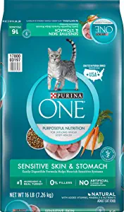 Purina ONE Natural Dry Cat Food Sensitive Skin & Stomach Formula