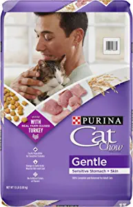 Purina Cat Chow Gentle Dry Cat Food for Sensitive Stomachs