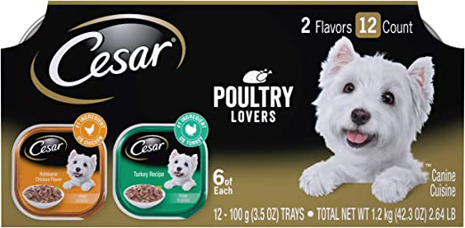 Cesar Soft Wet Dog Food Filets in Gravy