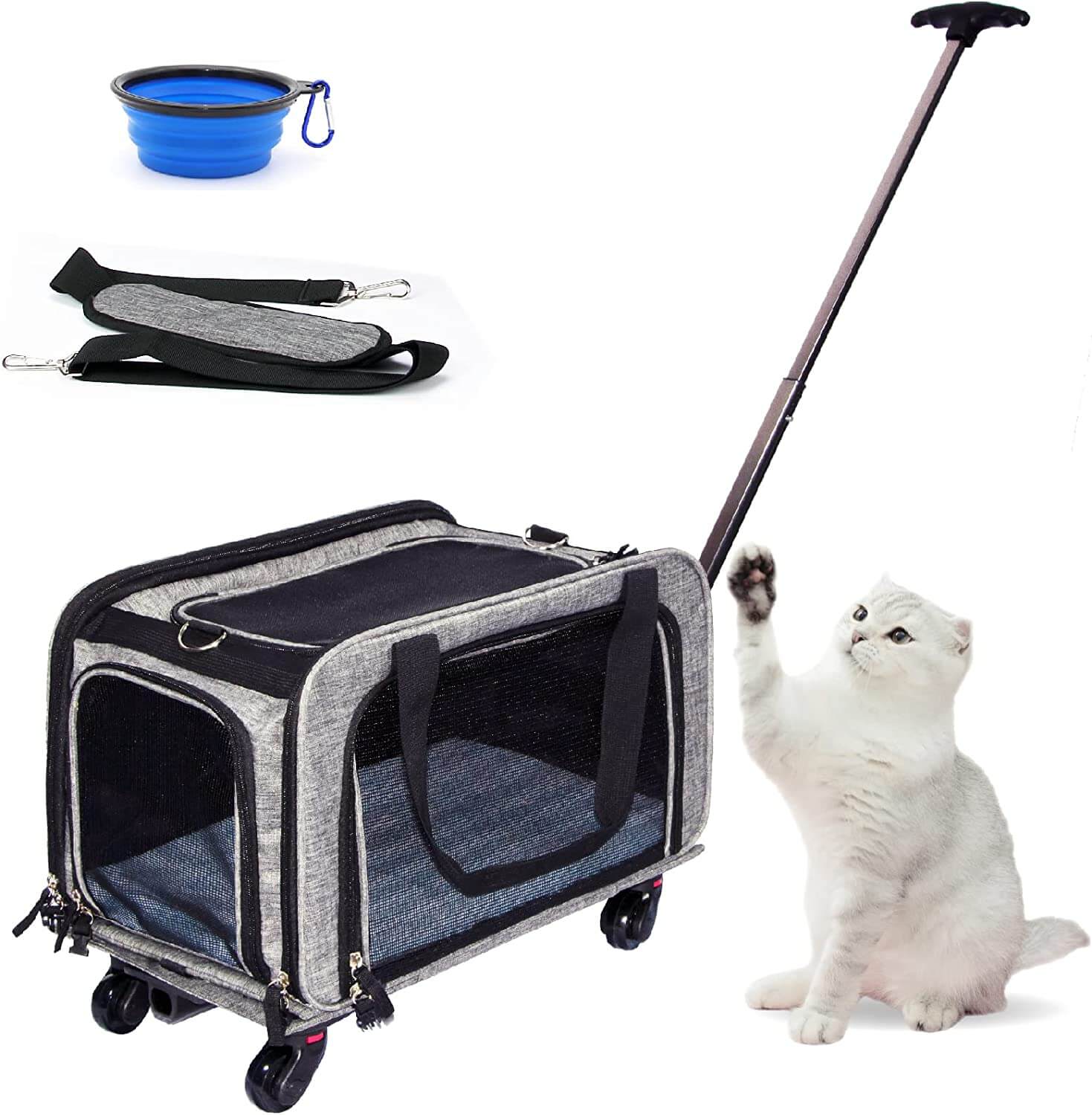 Airline Approved Soft-Sided Collapsible Cat Carrier with Removable Wheels