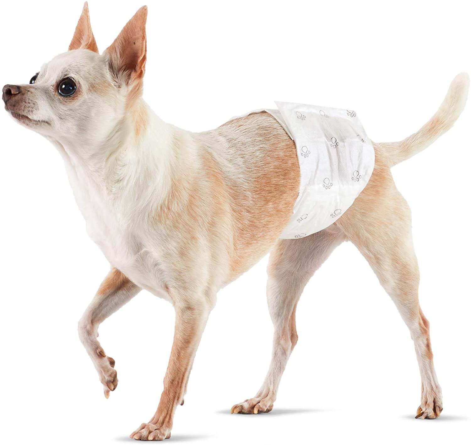 Amazon Basics Male Dog Wrap