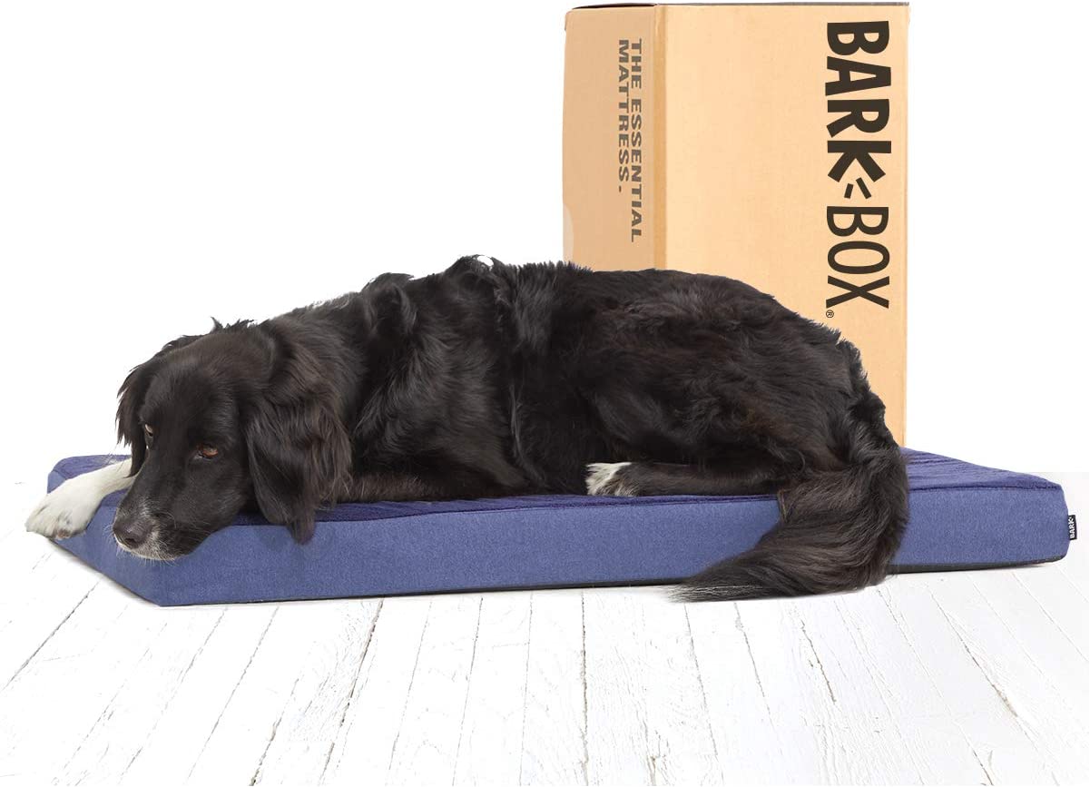 Barkbox Orthopedic Dog Bed