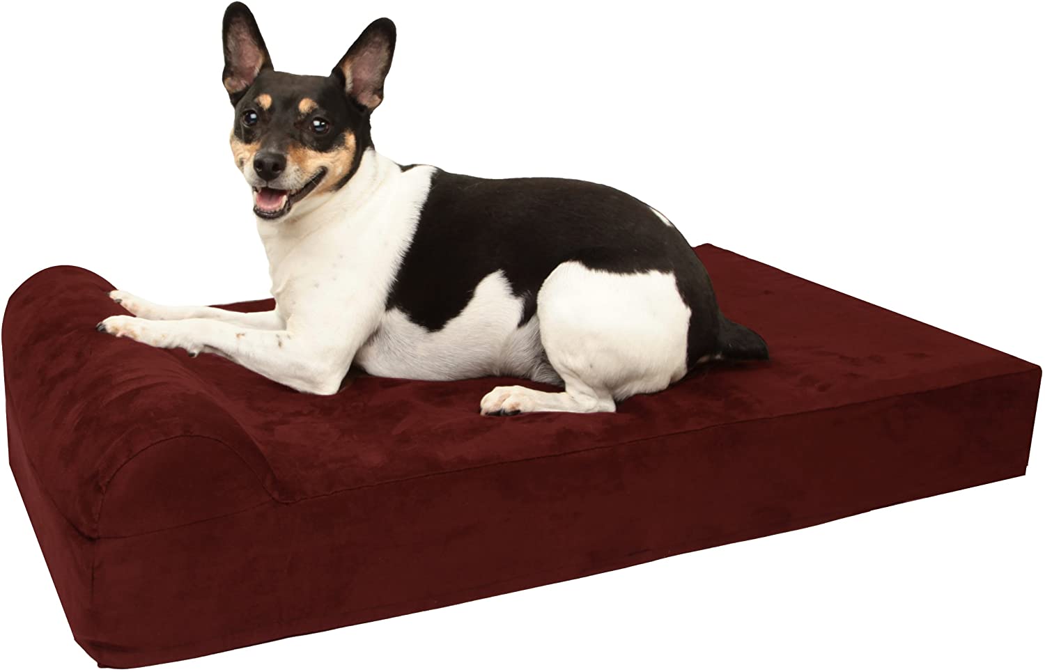 Barker Junior 4-inches Pillow Top Orthopedic Dog Bed