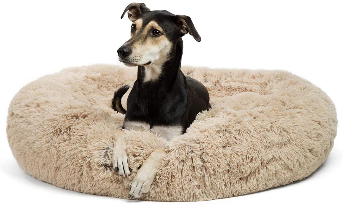 Best Friends by Sheri The Original Calming Dog Bed