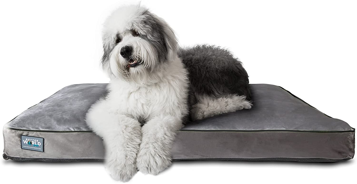 Better World Pets 5-inch Thick Orthopedic Dog Bed