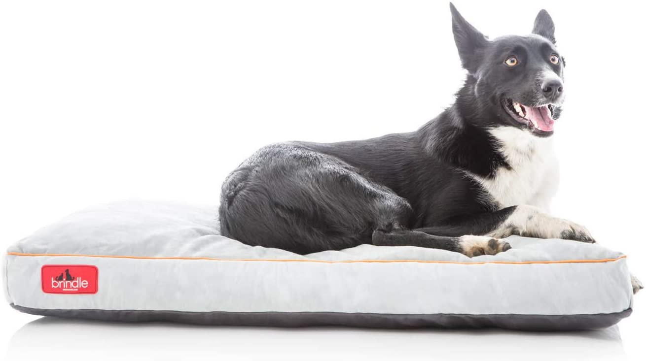 Brindle Shredded Memory Foam Dog Bed