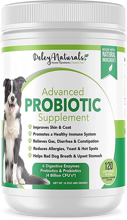 Deley Naturals Advanced Supplement Probiotics for Dogs