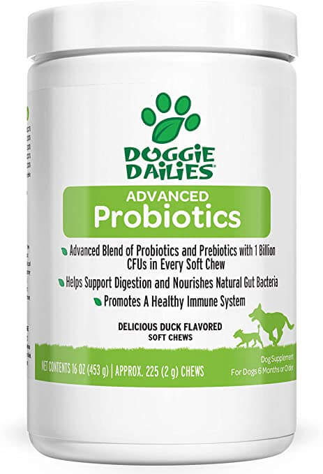 Doggie Dailies Probiotics for Dogs
