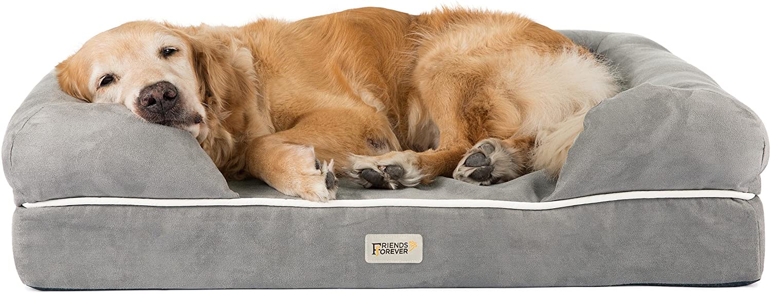 Friends Forever Orthopedic Dog Sofa bed