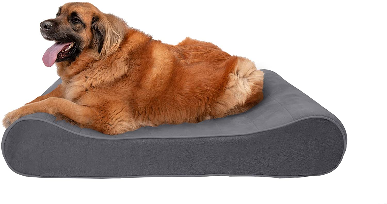 Furhaven Pet Cradle Dog Bed