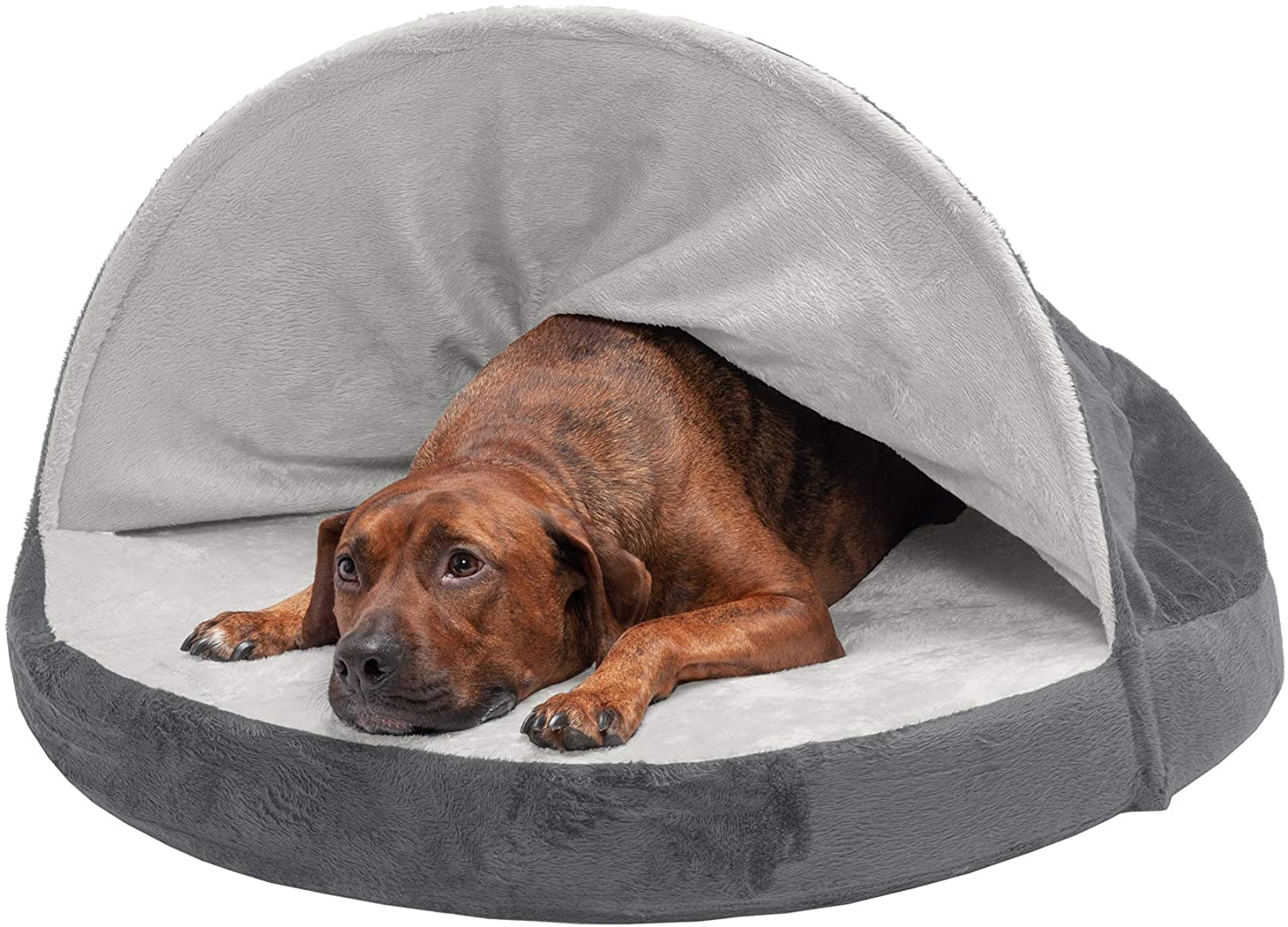 Furhaven Pet - Plush Ergonomic Orthopedic Foam Mattress Dog Bed