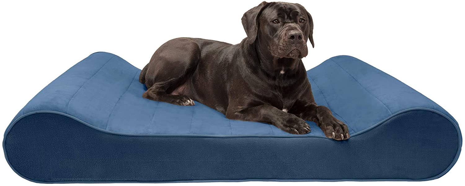 Furhaven Pet – Plush Orthopedic Sofa Dog Bed