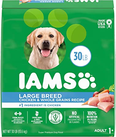 IAMS High Protein Large Breed Dry Dog Food