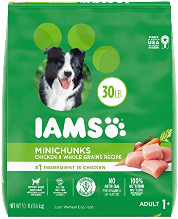 IAMS Proactive Health Adult Minichunks Small Kibble Dry Dog Food