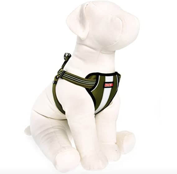 Kong Comfort Padded Reflective Chest Plate Dog Harness