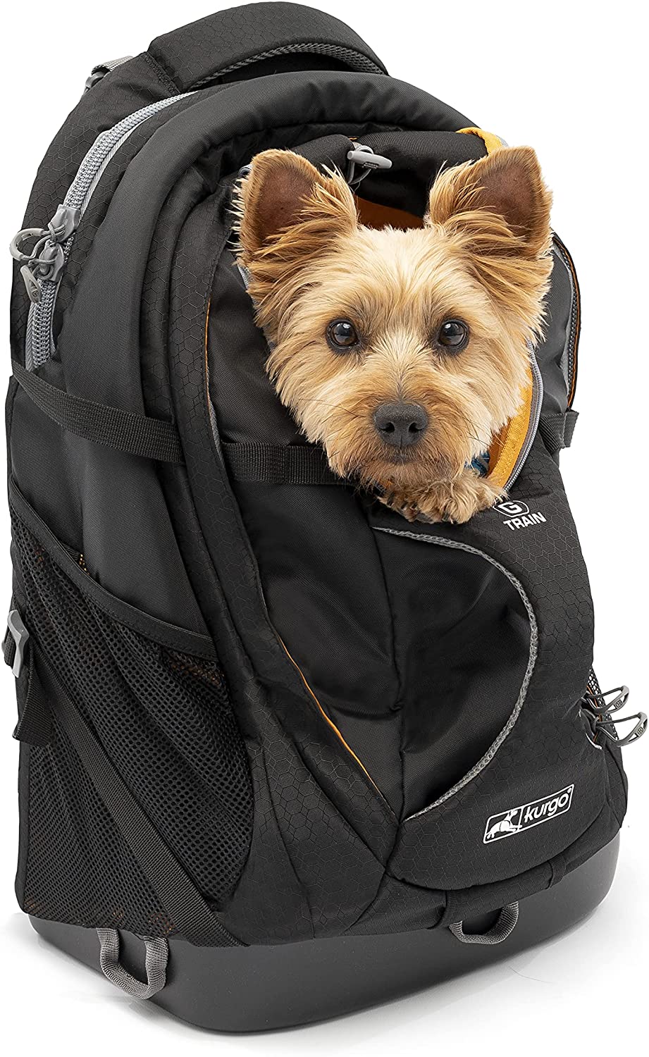 Kurgo-Dog-Carrier-Backpack-for-Small-Pets