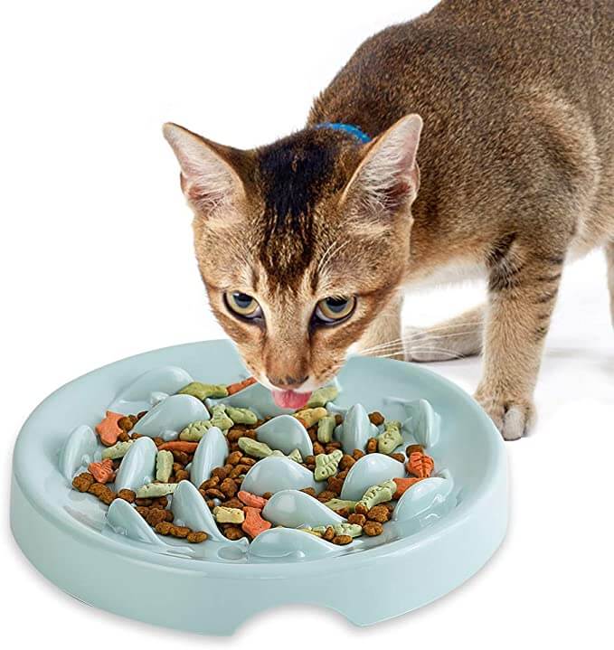 Lionwei Melamine Slow Feeder Cat Bowl