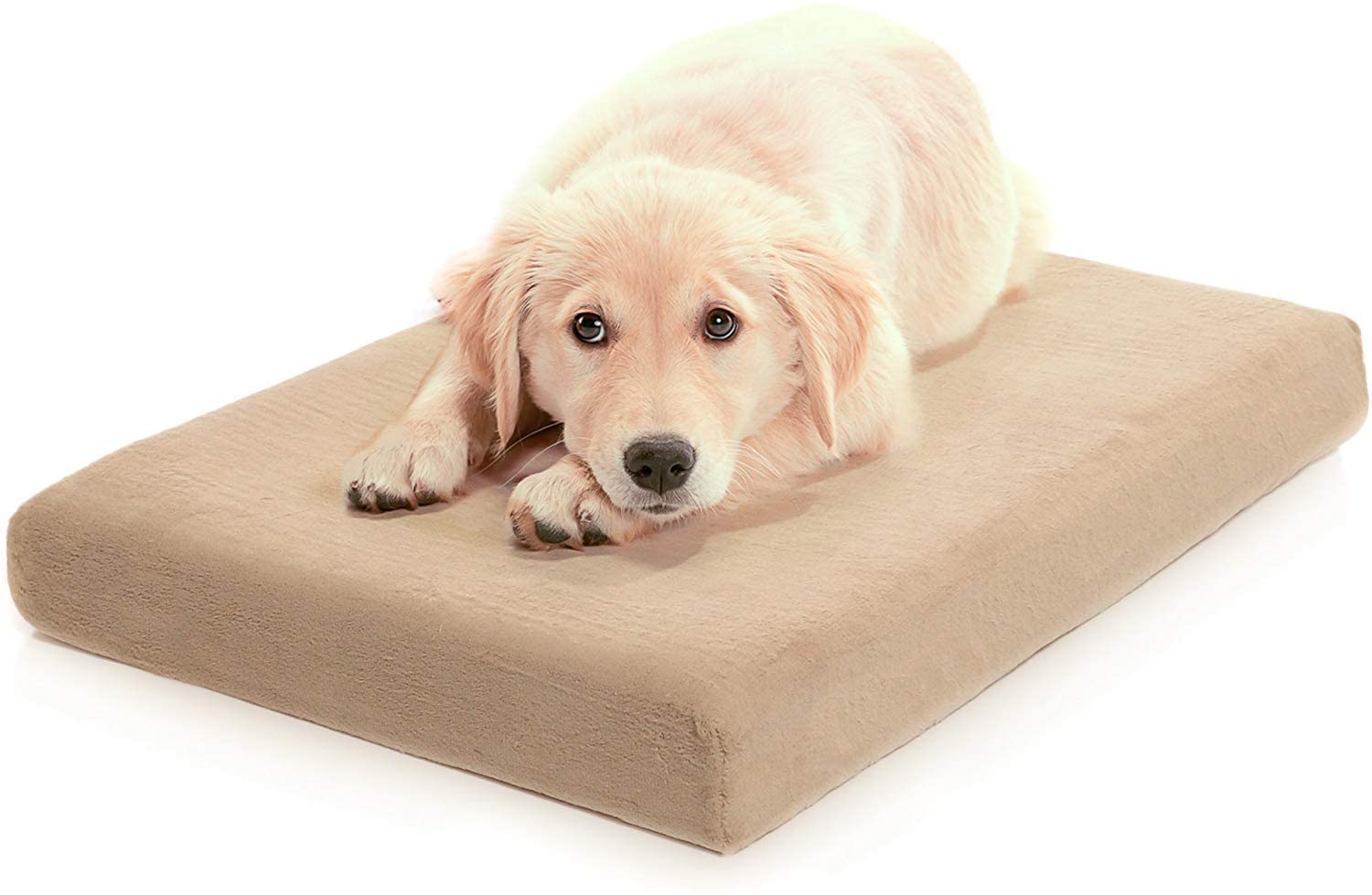 Milliard Orthopedic Memory foam  Dog Bed