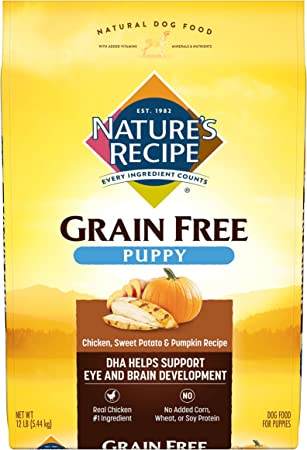 Nature's Recipe Grain-Free Puppy Dry Dog Food