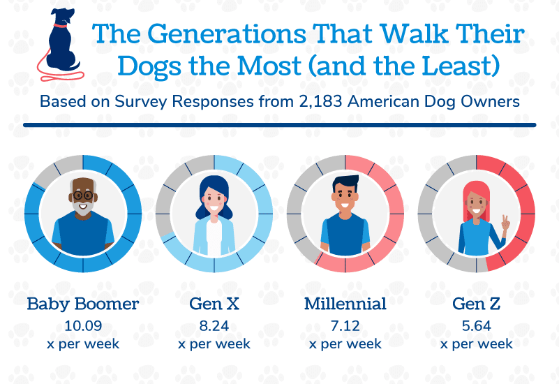 donut charts showing the generations that walk their dogs the most and the least