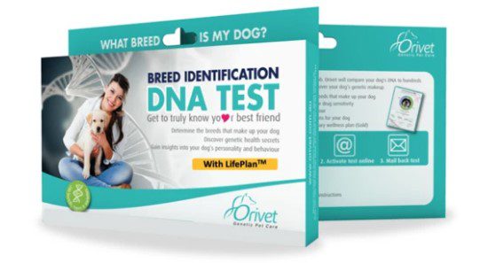 Orivet Dog Breed Identification DNA Test