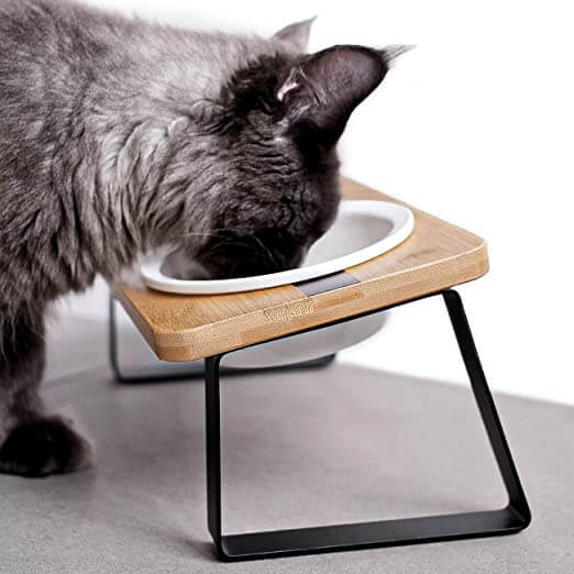 Pawkizz Ceramic Raised Cat Bowls