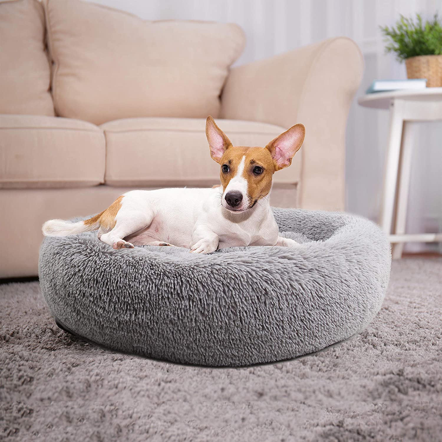 Pet Prime Soft Round Dog Bed
