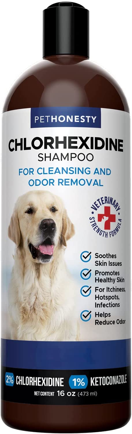 PetHonesty Chlorhexidine Shampoo