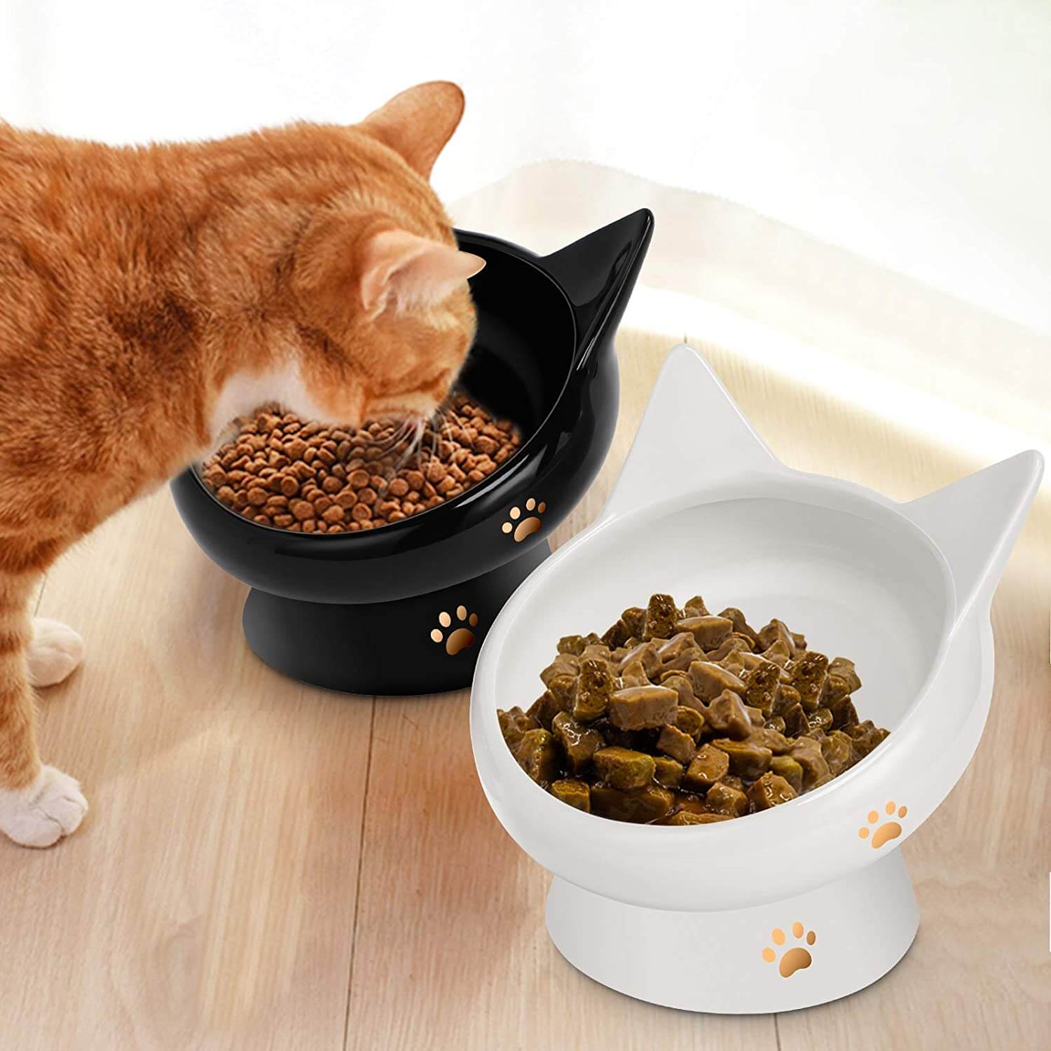 PetNF Cat Food Bowls Anti-vomiting