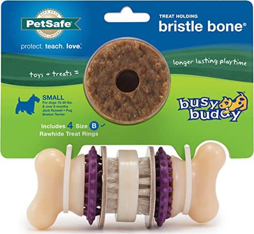 PetSafe Busy Buddy Bristle Bone Treat-Holding Toy for Dogs
