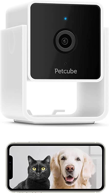 Petcube Pet Collar Camera with Built-in Vet Chat for Dogs and Cats