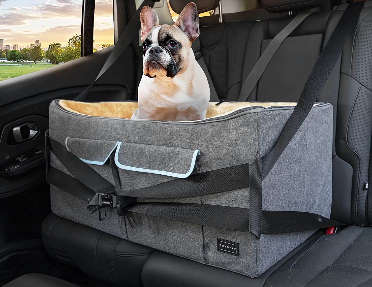 Petsfit Washable Double-Sided Cushion and Storage Pocket Dog Car Seat for Large Dogs