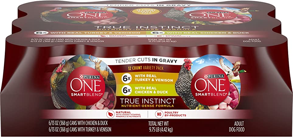 Purina ONE Natural Gravy Wet Dog Food