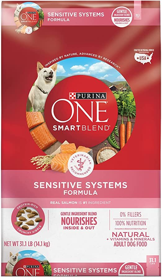 Purina ONE Natural Sensitive Stomach Dry Dog Food