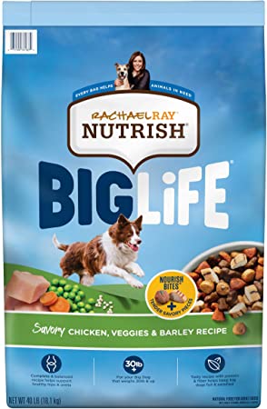 Rachael Ray Nutrish Big Life Dry Dog Food