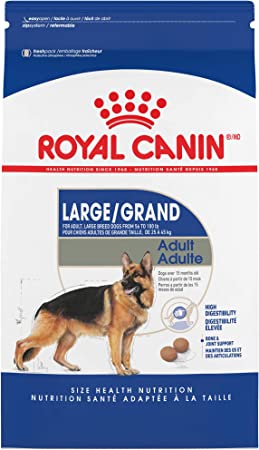 Royal Canin Large Breed Adult Dog Food