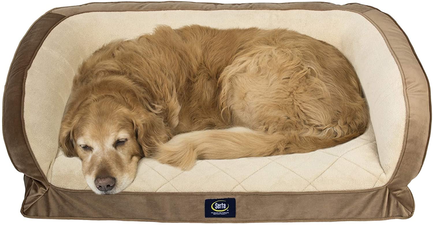 Serta Orthopedic Quilted Couch Bed