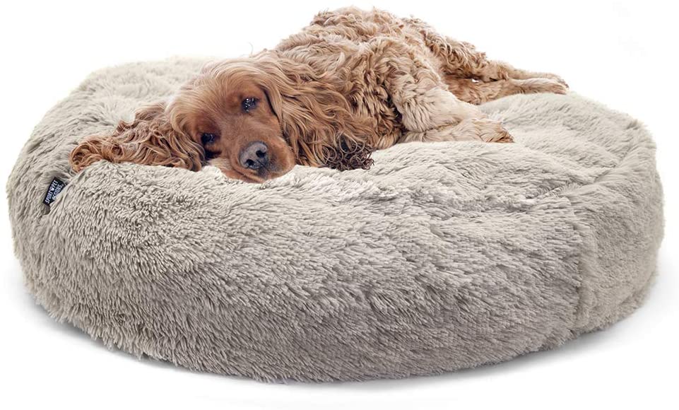 Sport PET Luxury Waterproof Pet Dog Bed