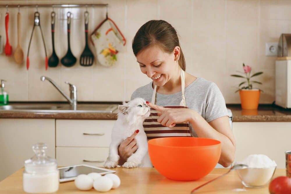 Cat owner making homemade cat food