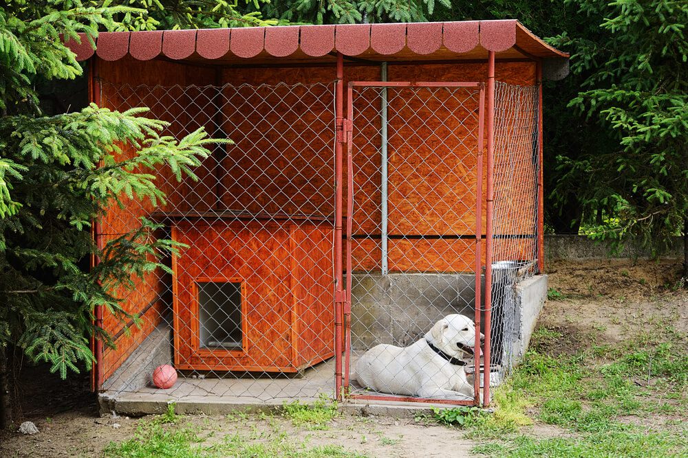 large dog house
