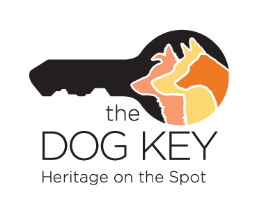 the dog key free dna test
