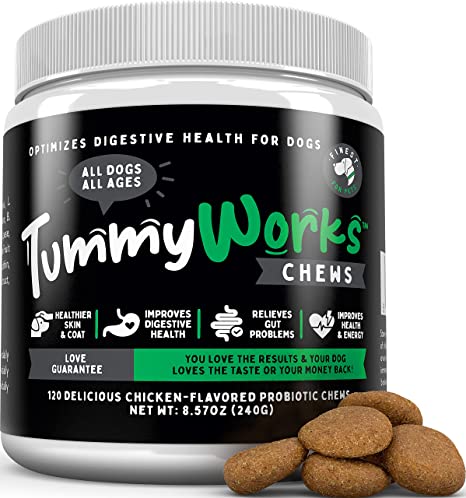 TummyWorks Probiotic Chews for Dogs