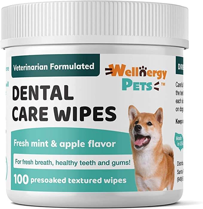 Wellnergy Pets Dental Wipes for Dogs