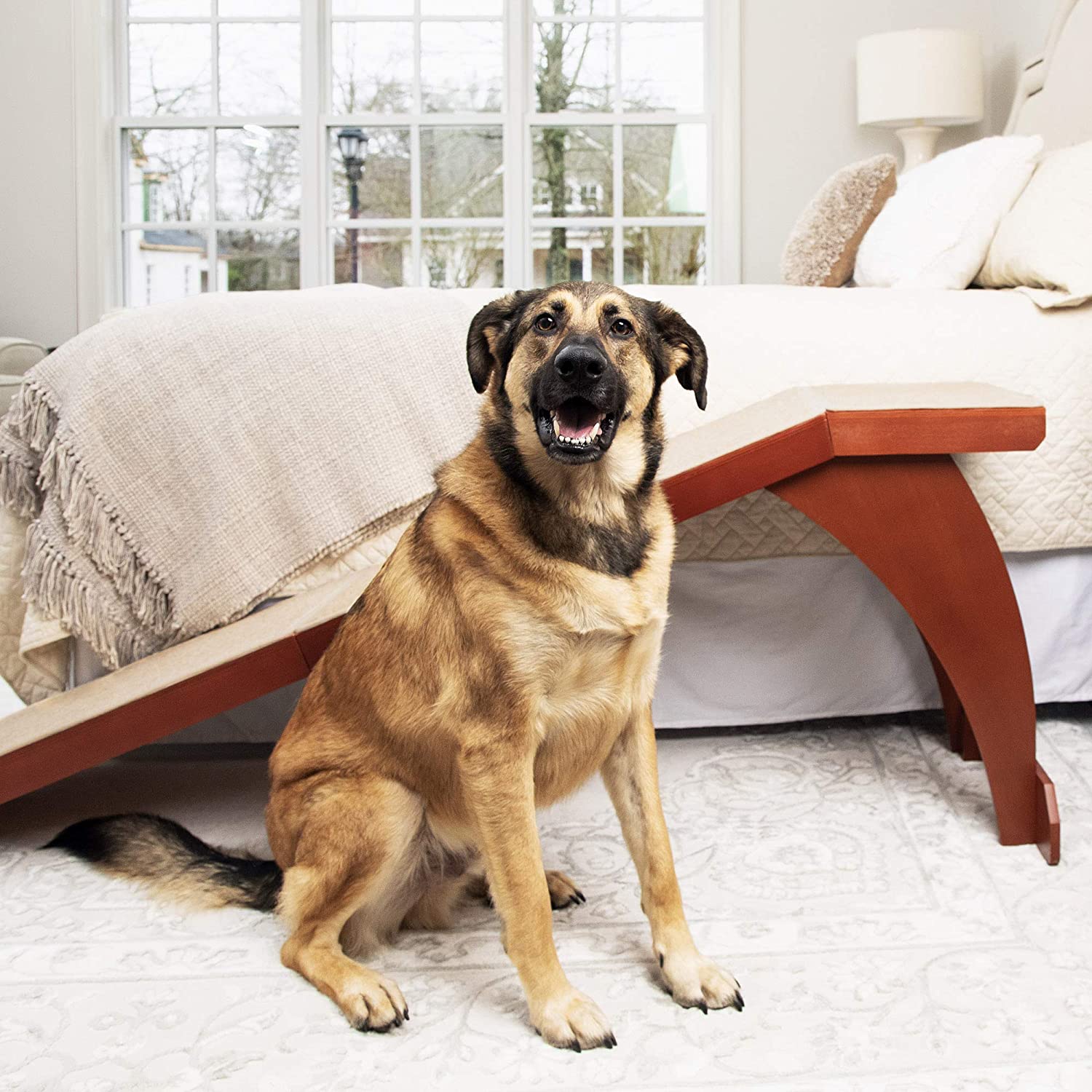 What-are-the-Benefits-of-Dog-Ramps-for-Beds