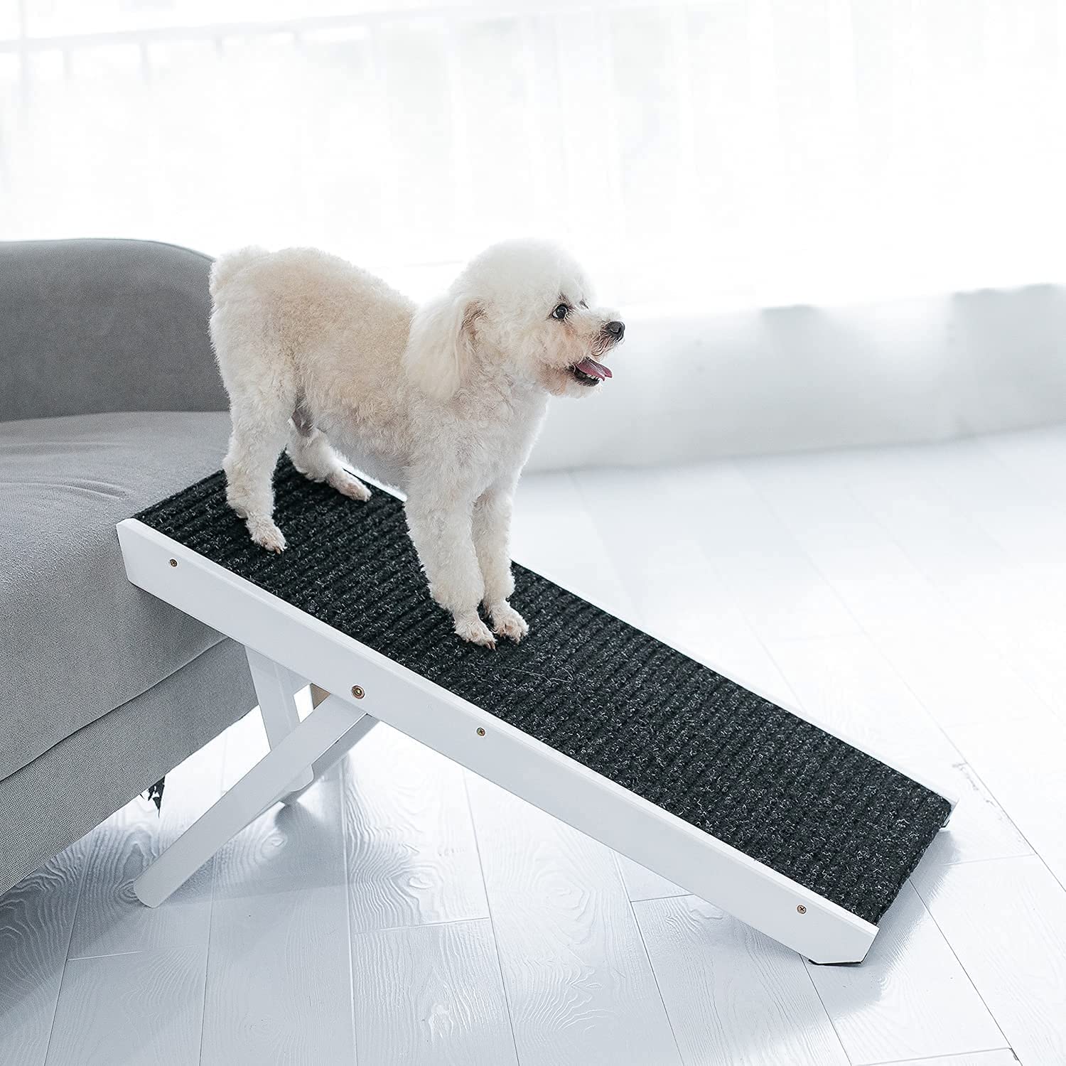 What-are-the-Benefits-of-Small-Dog-Ramps