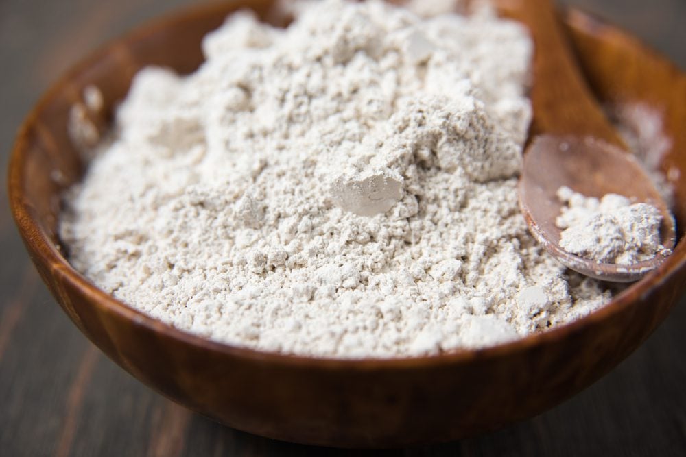 What is Diatomaceous Earth for Dogs